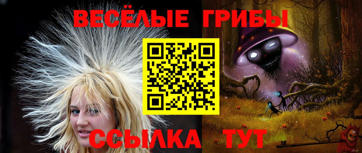 LSD-25 Дзержинск