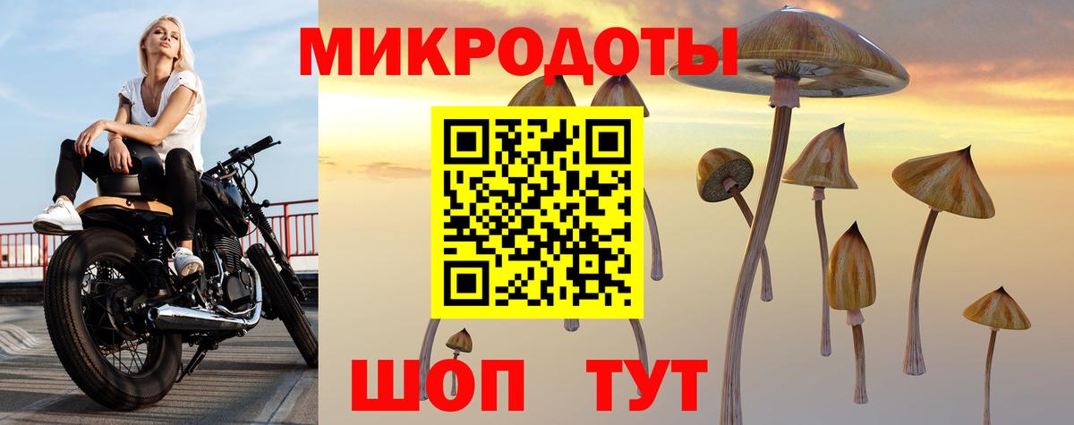 Псилоцибиновые грибы Magic Shrooms  Галлюциногенные грибы Magic Shrooms  Дзержинск  купить   Вход с VPN 